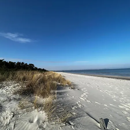 Strandlaeufer Breege