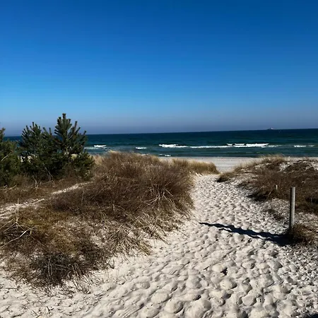 Strandlaeufer Breege